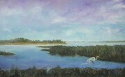 egret on the marsh