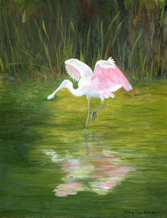 roseate spoonbill