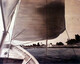 Sailing a Monomoy on Baldwin Bay