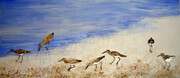 sandpipers on the shore