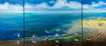 Shorebird triptych